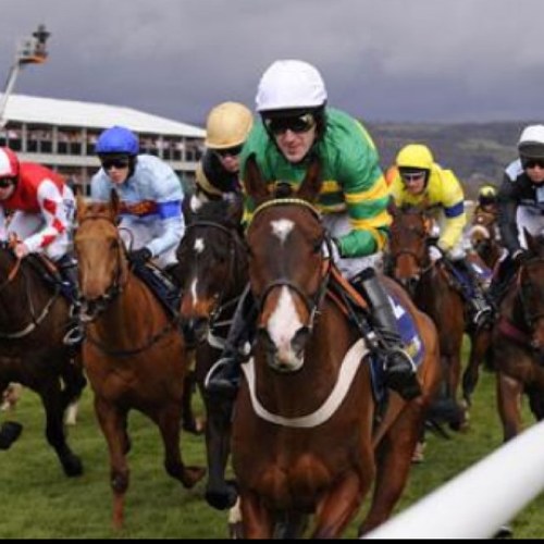 Follow us!! We get top tips in horse racing and football bets!