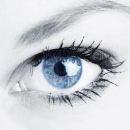 Kappersidee's profile picture. 30% winterkortingen op de website van Kappersidee! Levering door heel Nederland & België