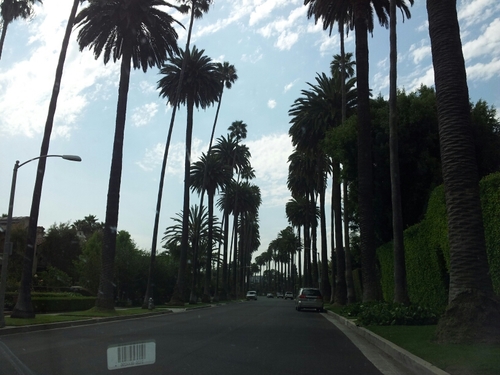 PringGreg's profile picture. 