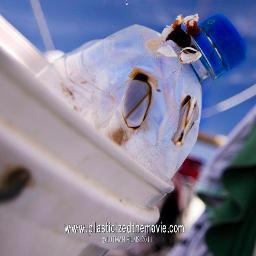 A documentary film about the reality of oceanic plastic pollution seen through the first scientific expedition across the South Atlantic studying the calamity.