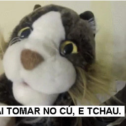 rolaumsexo_'s profile picture. ♥ L4S4NH4 ♥