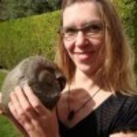 Íngrit (@ingritgeo) 's Twitter Profile