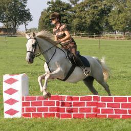 Jumpstack Show Jumps, Nellie O Neil's Riding Hoods, SuperScarf, SockChaps & Welly Tops. Exclusive stockist for Whinny Reins. https://t.co/nRfGhxjqug