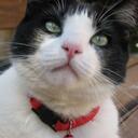 Patricia Hack - @Petsrgr8 - Twitter