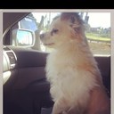 Marie Celis Perez - @mariecelis - Twitter