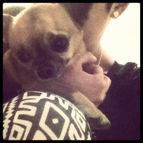 DettorreBianca's profile picture. 