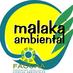 Malaka Ambiental (@malakaambiental) Twitter profile photo Malaka Ambiental (@malakaambiental) Twitter profile photo