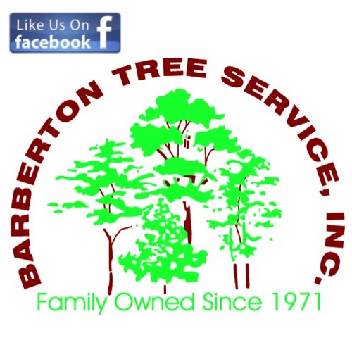 *The Official Twitter of Barberton Tree Service* Fully Insured ~ Free Estimates ~ Call today 330-848-2344 | barbertontree@gmail.com
