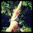 FitChickATX's profile image