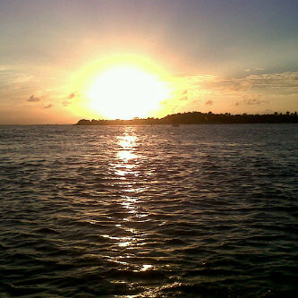 mazzarellaargia's profile picture. 