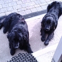 Pat Madigan - @thestonedrummer - Twitter