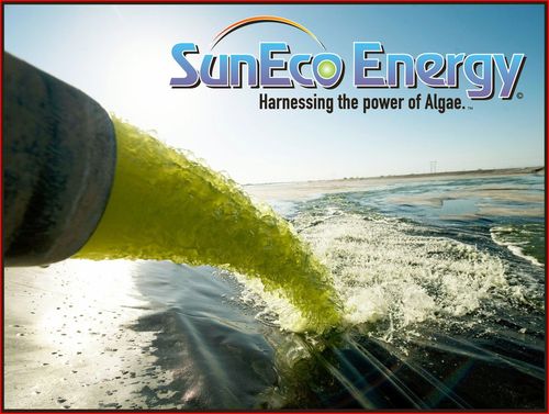 Algae to Energy