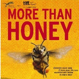 Bekroonde documentaire van Markus Imhoof over de kwetsbare wereld van honingbijen. Nu op dvd en video on demand!