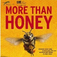 More Than Honey (@morethanhoneynl) 's Twitter Profile
