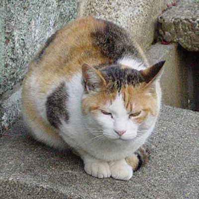 TAKA