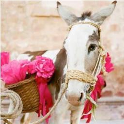 MaisonPomPoms's profile picture. Handcrafted Collections & Integral Projects