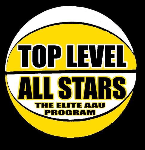 TeamTopLevel's profile picture. 