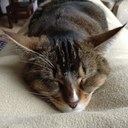 mary postma - @marypostma - Twitter