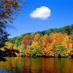 ZomicksBakery's profile picture. 