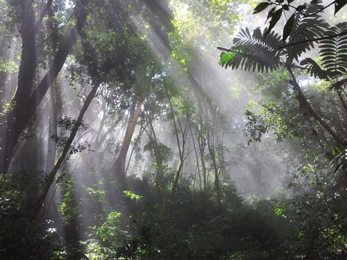 jesusguillen5's profile picture. 