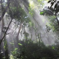 Guillen Jesus (@jesusguillen5) 's Twitter Profile