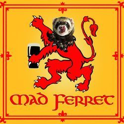 Official twittering page for Scottish Folk Duo, The Mad Ferret Band. Blisteringly fast mandolin, earth-shaking guitar and hard-driven cajon. #ferretsontour
