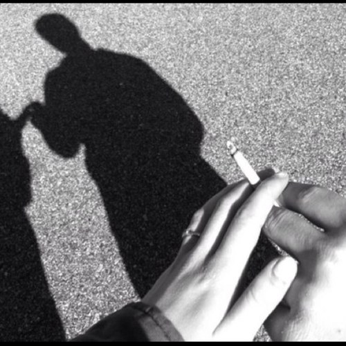 2high2love's profile picture. 