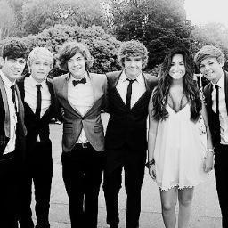 I love Demi Lovato. I love One Direction. When will they collaborate???