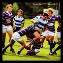 Lynn Marion - @LynnMarion410 - Twitter