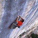 N8 Dawg - @RangerNateRyan - Twitter