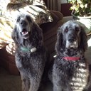 Jane Brawley - @JaneBrawley - Twitter