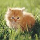 Cheyenne Edwards - @cutebabysmokey2 - Twitter