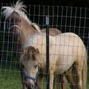 Robin Patten - @generalpatten1 - Twitter