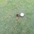 GolfinFF's profile image