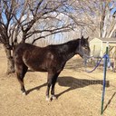 Cheryl Cathey - @CatheyCheryl - Twitter