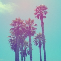 Graphic designer // Paris, France