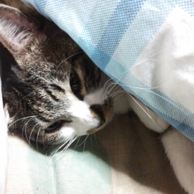 すぎゅ 24時間テレビ最悪 西城秀樹最初自分で歌ってたのにマイク切って 歌流したよ 口パク状態にさせて完全復活って頭おかしいよ 言語おかしいかったって音程外れてたって秀樹自身の歌聴きたかったよ マイク切った瞬間の秀樹の顔忘れられんわ もー すぎゅ 24時間テレビ最悪 西城秀樹最初自分で歌ってたのにマイク切って 歌流したよ 口パク状態にさせて完全復活って頭おかしいよ 言語おかしいかったって音程外れてたって秀樹自身の歌聴きたかったよ マイク切った瞬間の秀樹の顔忘れられんわ もー