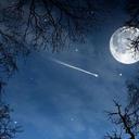 Liz Ivonne Escobar - @LilivonForever - Twitter