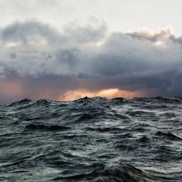 callum_walker's profile picture. Art Director