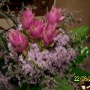 viola russo - @RusvioR - Twitter