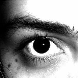 rubipborges's profile picture. Vida longa e próspera