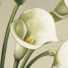 PaulAllul985's profile picture. 