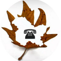 Dial Kashmir (@dialkashmir) 's Twitter Profile