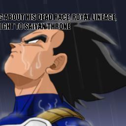 persever1's profile picture. VIVE  tu vida en comunion con la energia vital