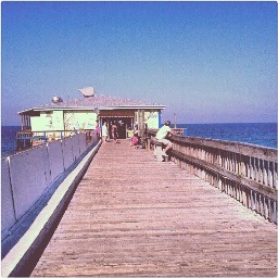 the best girls are from florida (;