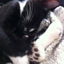 Trish Ferguson - @misskaziforoc - Twitter