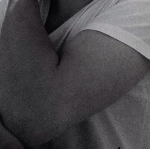 NetGraph's profile picture. 