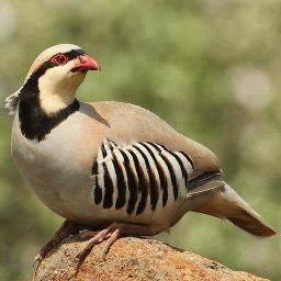 waws007's profile picture. 