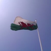 Magical(@welshwonders) 's Twitter Profile Photo