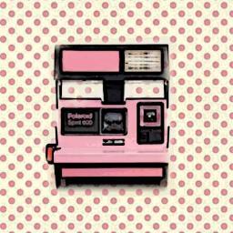 HPKPhoto's profile picture. Vikki Macefield. Professional Photographer for Hand Painted Kites Photography.